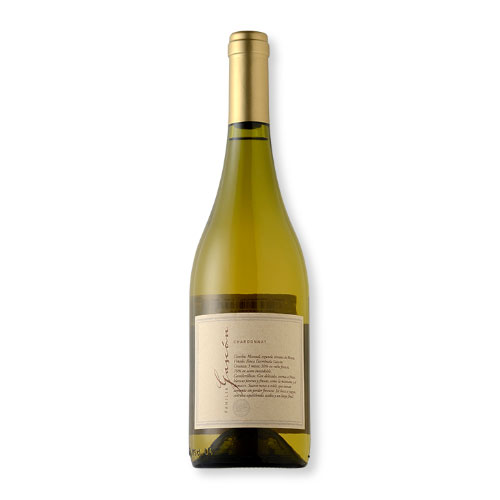 Vinho Escorihuela Familia Gascón Chardonnay 750ml